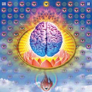 lsd