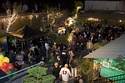 3rd Annual San Francisco Cannabis Cup, 2009