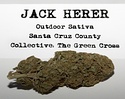 3rd Annual San Francisco Cannabis Cup, 2009