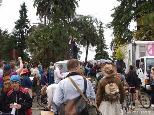 occupy the farm, gill tract, uc berkeley, albany