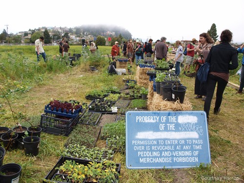 occupy the farm: gill tract, uc berkeley, albany