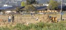 Occupy The Farm, the Gill Tract, City of Albany.