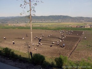 hermit kingdom new lands hermit kingdom new lands