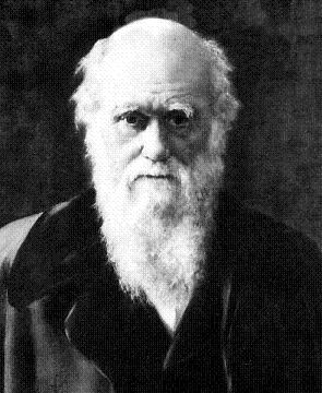 Darwin