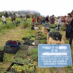 #OccupyTheFarm: Disobey with Great Love