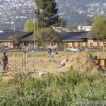 Gill Tract Farm Essential for Post-Peak Oil Food Security