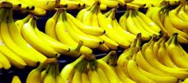 Free Trade bananas